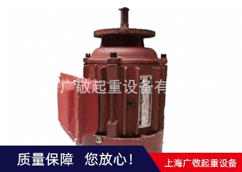 伊犁總廠電機(jī)  6級(jí)電機(jī) 8級(jí)電機(jī)廠家批發(fā)